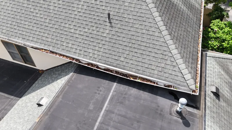 Roof and gutter maintenance