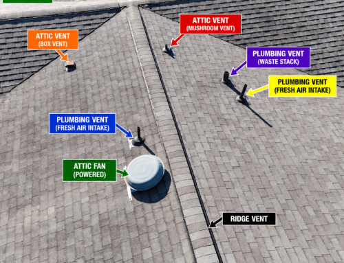 Flashing, Pipe Boots, or Skylights: Understanding Common Roof Leak Sources