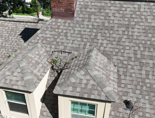 Preventative Roof Maintenance: Protecting Your Roof Through Proactive Care